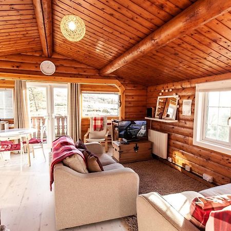 Welsh Retreat 2 Bedroom Log Cabin - Seren Property Trawsfynydd Экстерьер фото
