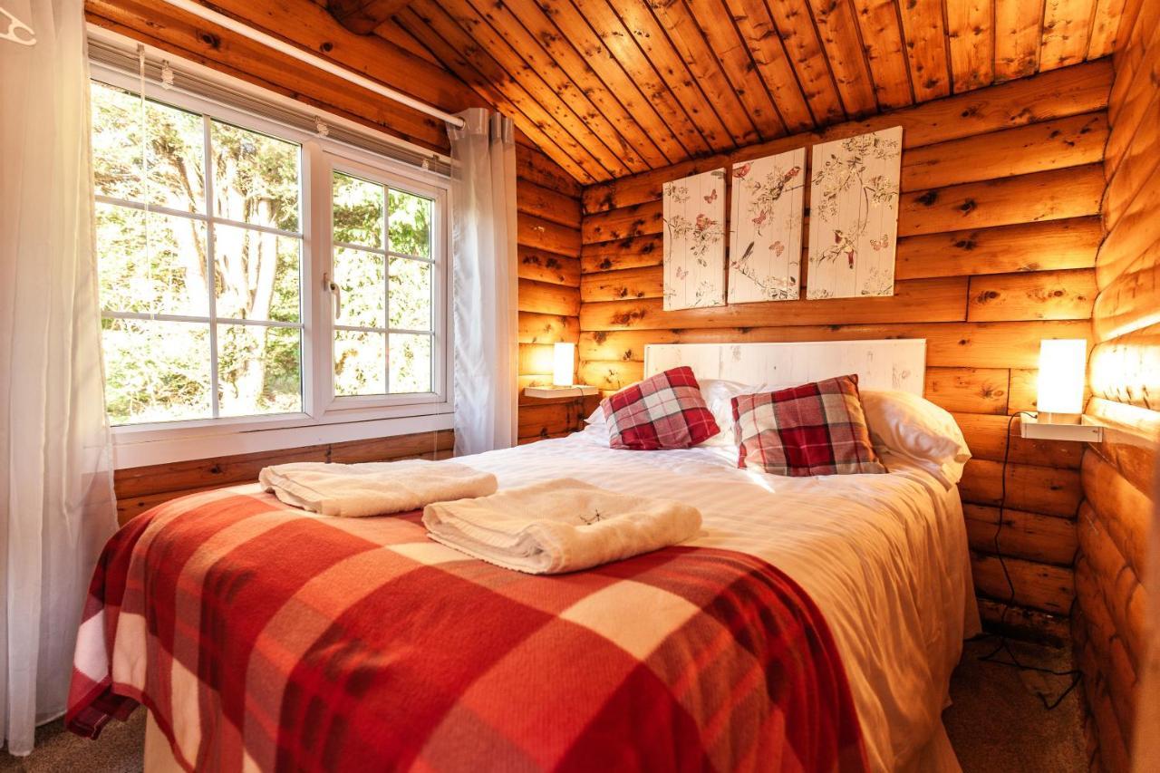 Welsh Retreat 2 Bedroom Log Cabin - Seren Property Trawsfynydd Экстерьер фото
