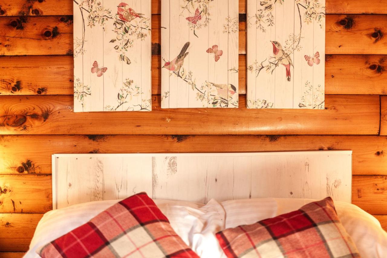 Welsh Retreat 2 Bedroom Log Cabin - Seren Property Trawsfynydd Экстерьер фото